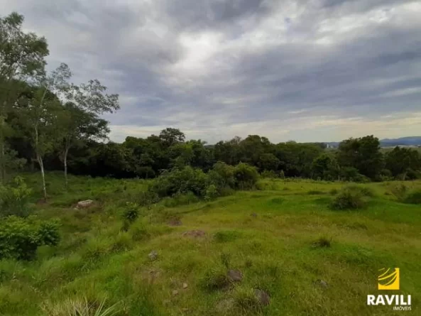 Grande Oportunidade de Investimento