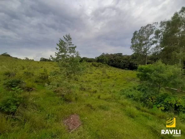 Grande Oportunidade de Investimento