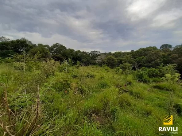 Grande Oportunidade de Investimento