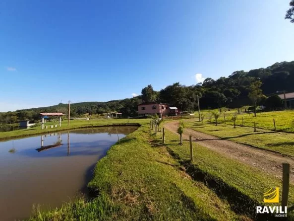 Vende-se Pesque e Pague 