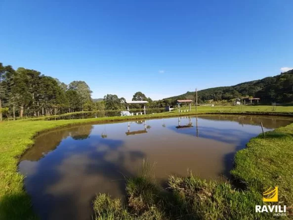 Vende-se Pesque e Pague 