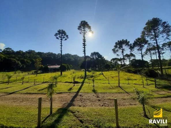 Vende-se Pesque e Pague 