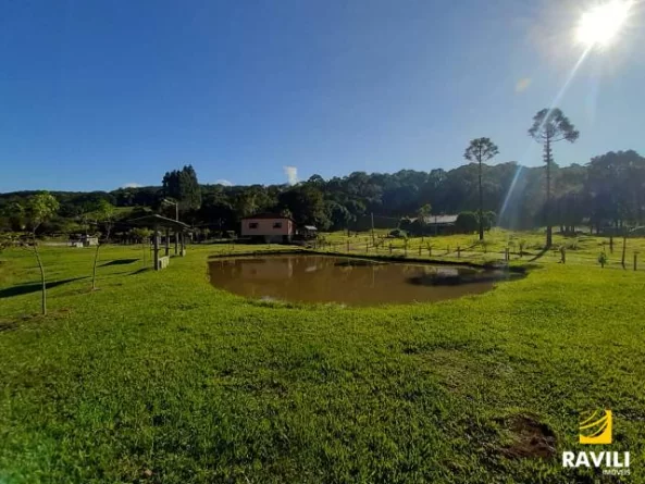 Vende-se Pesque e Pague 