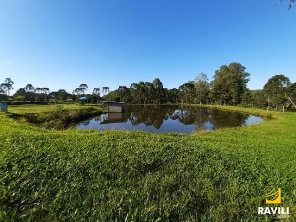 Vende-se Pesque e Pague 