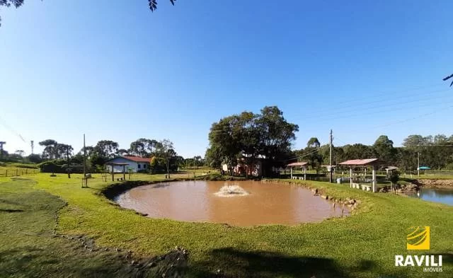 Vende-se Pesque e Pague 