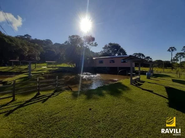 Vende-se Pesque e Pague 