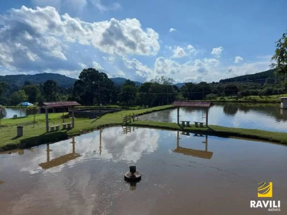 Vende-se Pesque e Pague 