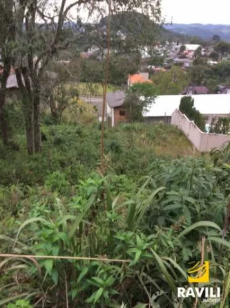 Excelente terreno - Flor da Serra
